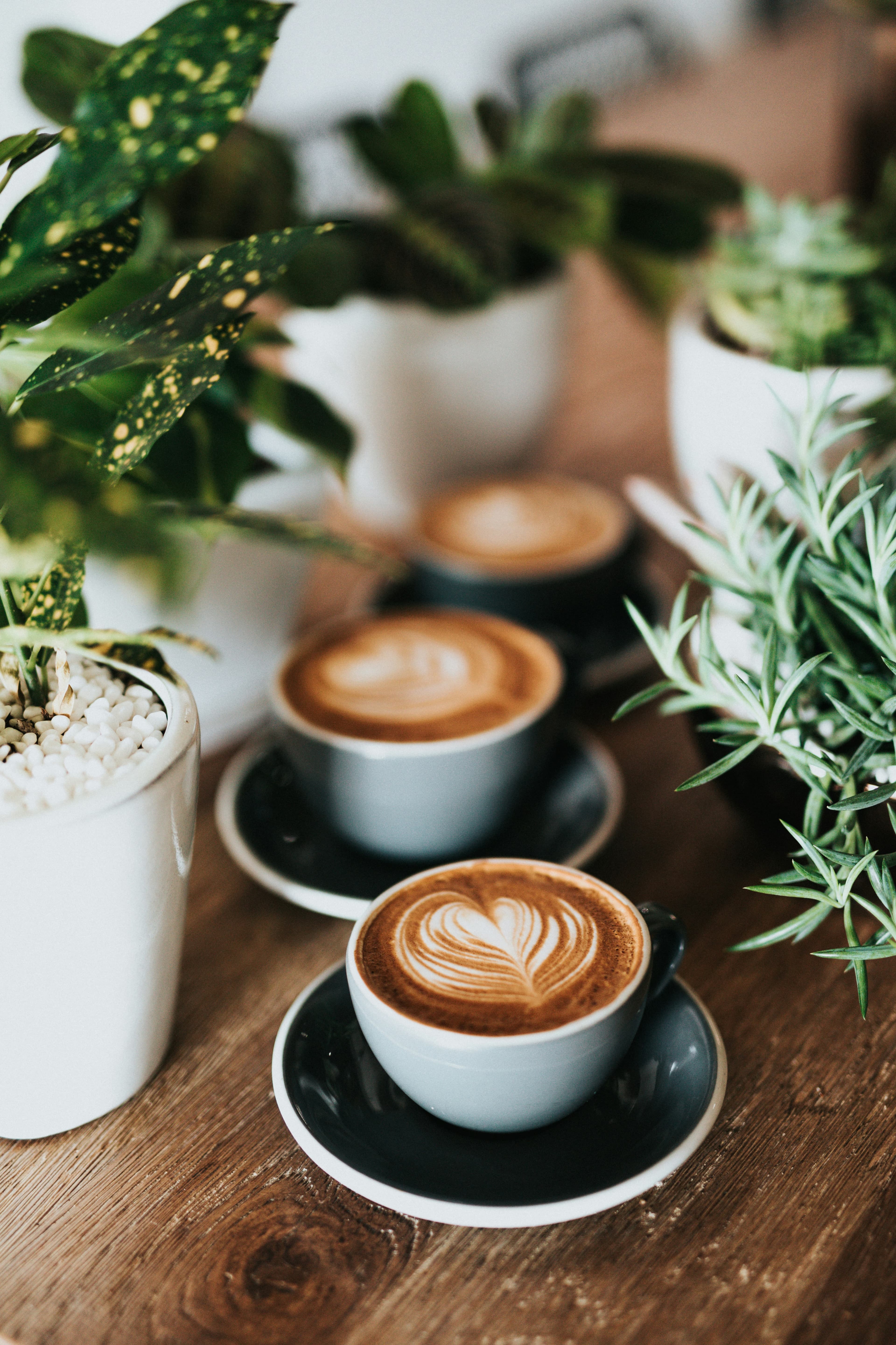 Cafes in Windsor